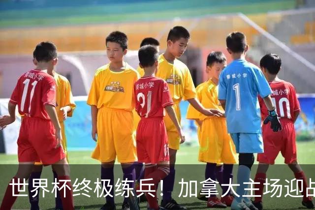 世界杯终极练兵！加拿大主场迎战爱尔兰男足