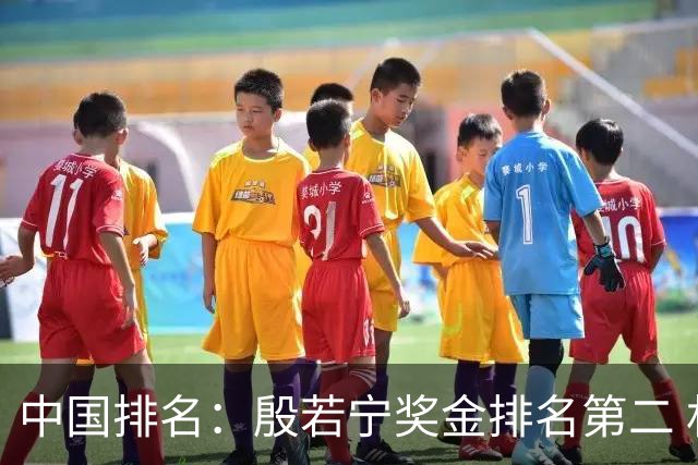中国排名：殷若宁奖金排名第二 林希妤纪钰爱上升