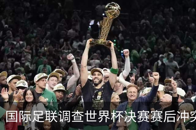 国际足联调查世界杯决赛赛后冲突