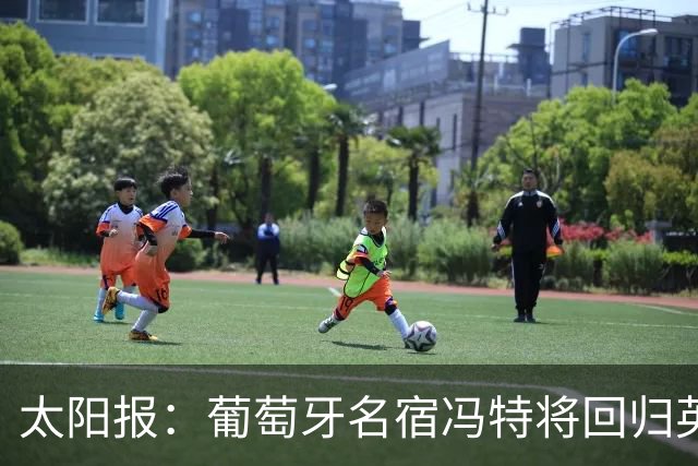 太阳报：葡萄牙名宿冯特将回归英超，加入桑德兰教练组