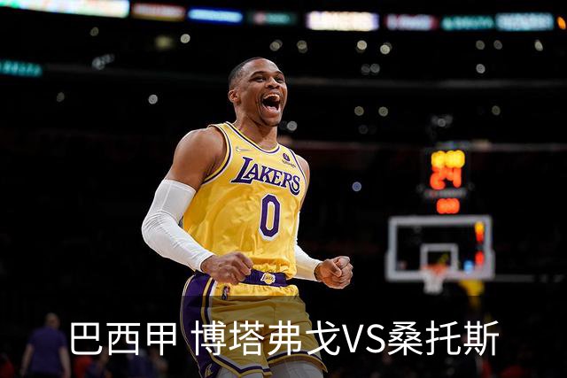 巴西甲 博塔弗戈VS桑托斯