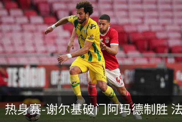 热身赛-谢尔基破门阿玛德制胜 法国1-2遭科特迪瓦逆转