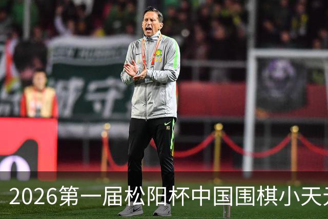 2026第一届松阳杯中国围棋小天元赛补充通知